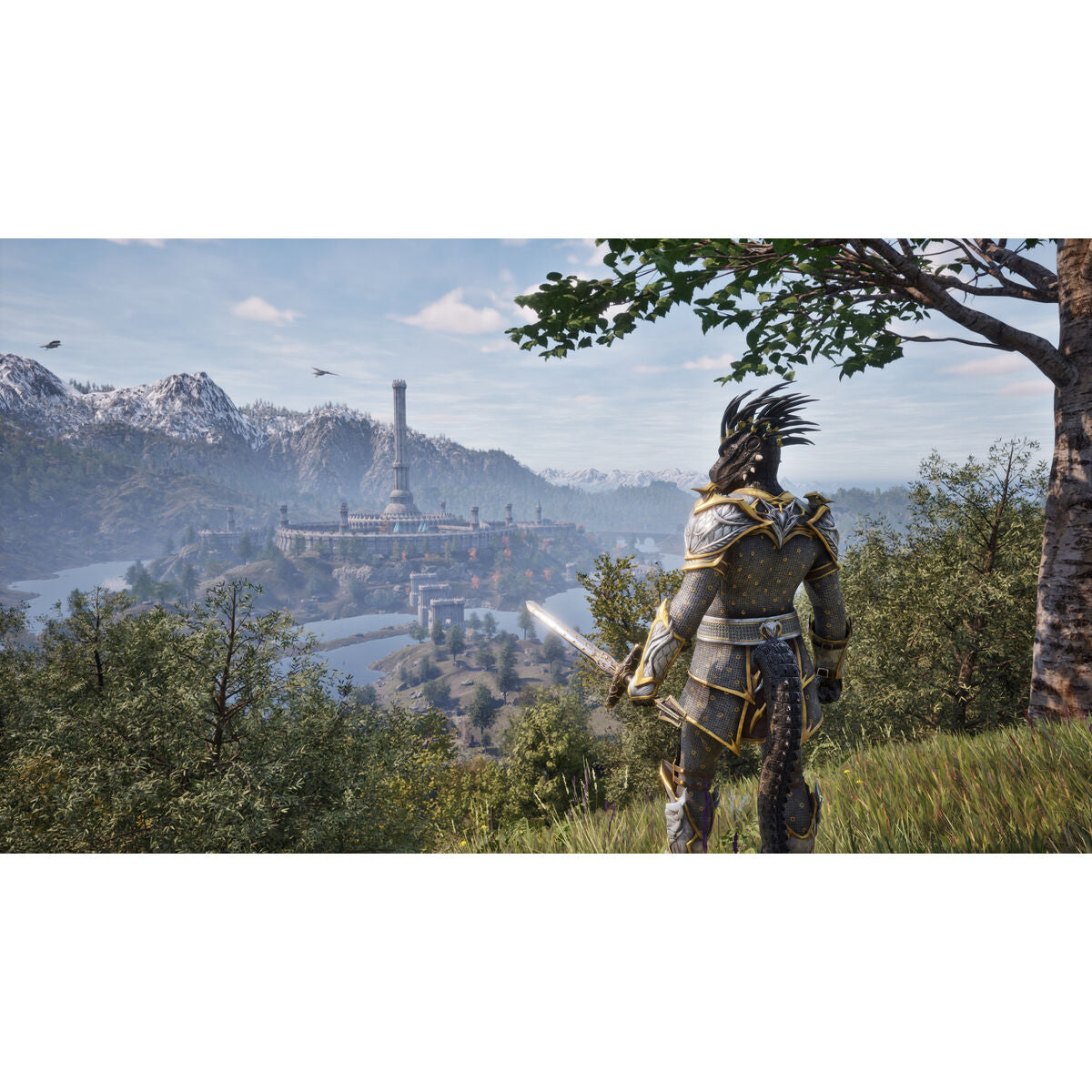 V4HA1AB87CE8508B46B753C4DE9076FC30ER7471641P7