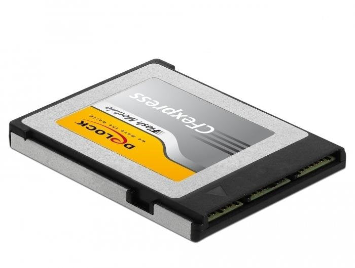 Delock Memory Card Cfexpress 256GB