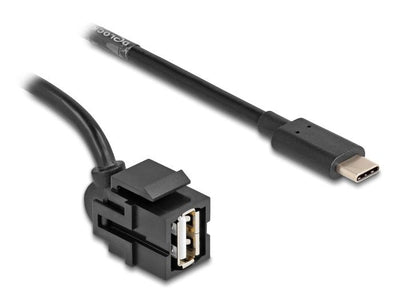 Delock 88056MÓDULO Keystone USB 2.0A Female USB Type-c™ Male 250° With Cable 0,5M — image 1