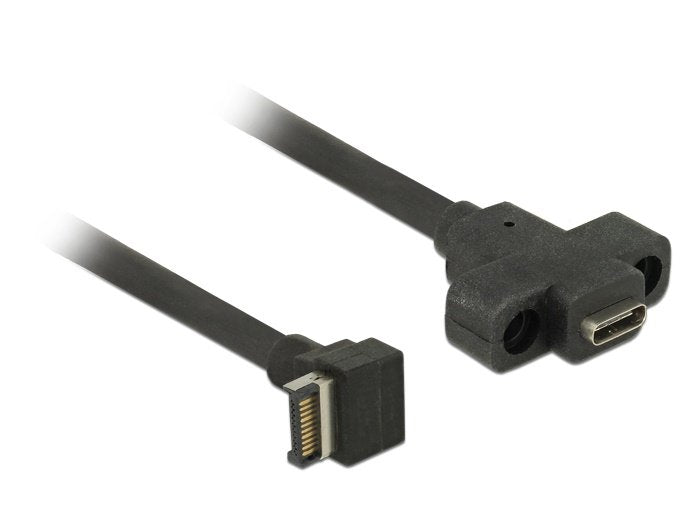 Delock USB Cable 3.1 Gen 2 Clave a Male 20 Pines USB 3.1 Gen 2 USB Type-c™ Panel Assembly Female 45CM