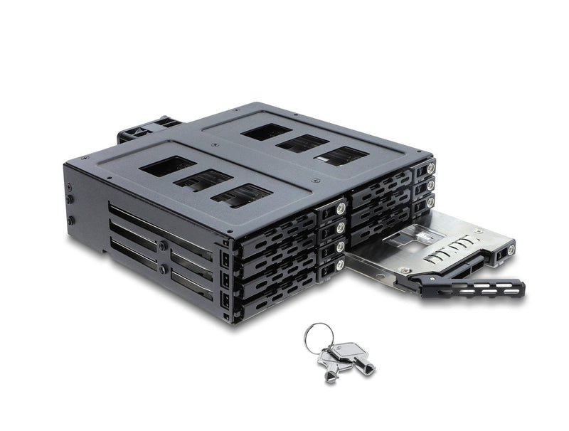 Delock 5.25? Bastidor Removable 8 X 2.5? SATA Or Sas HDD SSD With Lock
