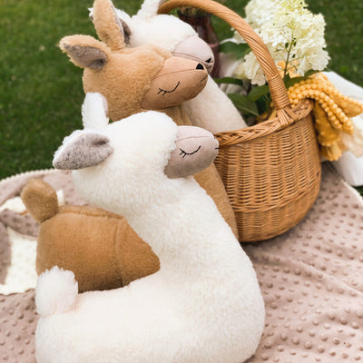 Soft Toy-Pillow Alpaca - Cream