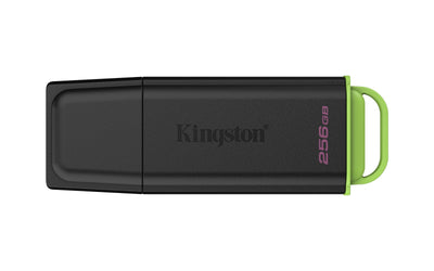 Kingston USB Flash Drive 256GB Datatraveler Exodia G2 USB 3.2 GEN1 — image 1