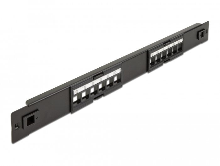 Delock 19 Keystone Patchpanel 12 Port Tool-free