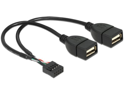 Delock 83292 Adapter USB 10PIN - 2X a H/H 0.20M Black — image 1