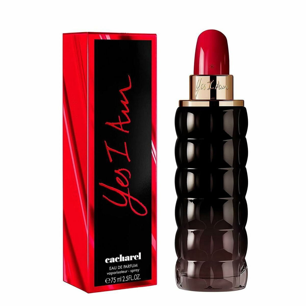 V5H09AD480635C6810E68382D6DB0F6CB91R5677493P1