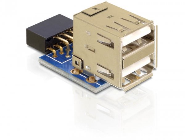 Delock Adapter Plug Cabecera Pin USB 41825