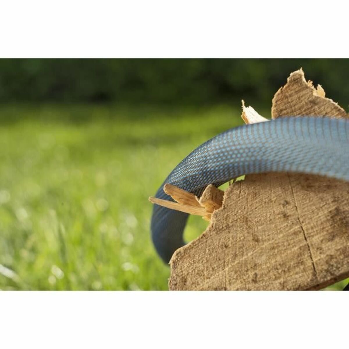 V7H8CB82069CABF01D20BC7EAE65D36FBF1R4220134P5