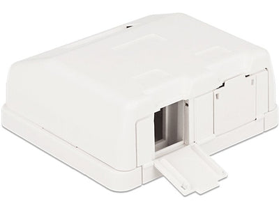Delock Box Of Surface Vacia 2 Hembras Panel With Cover Polvo — image 1