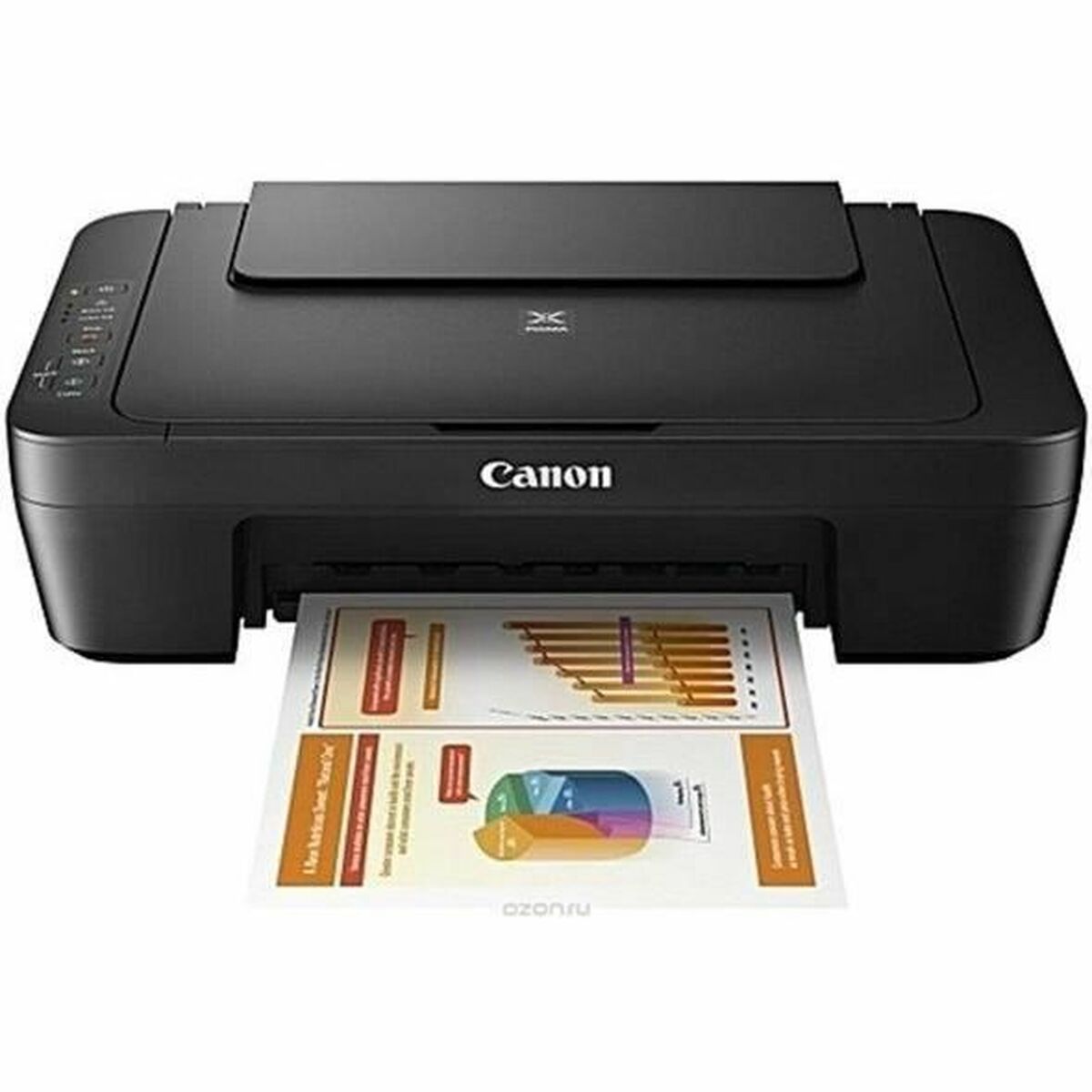 Canon Multifunction Printer Canon Mg2551S