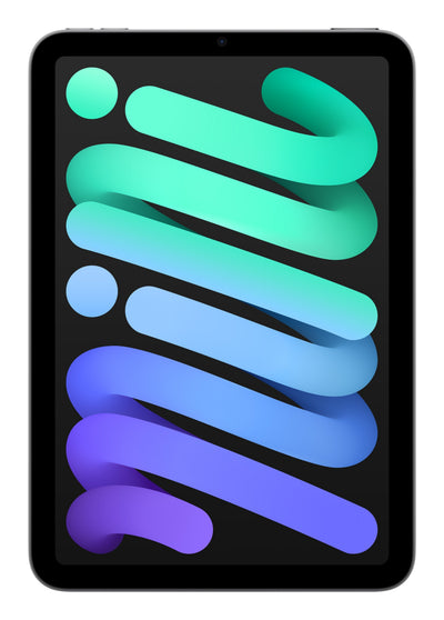 Apple Ipad Mini 256GB Wi-Fi Gwiezdna Szarosc — image 1