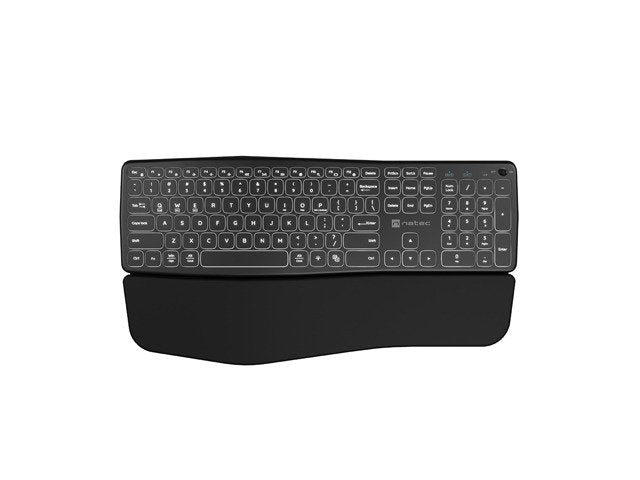 Keyboard Porifera Us Wireless Bluetooth + 2.4GHZ