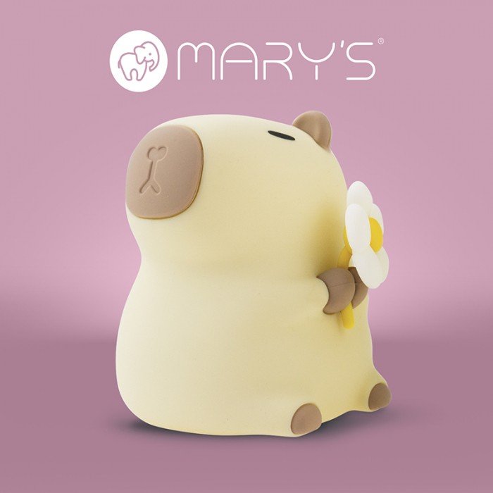 Lamp Night LED RGB Rechargeable Model Capibara Florista