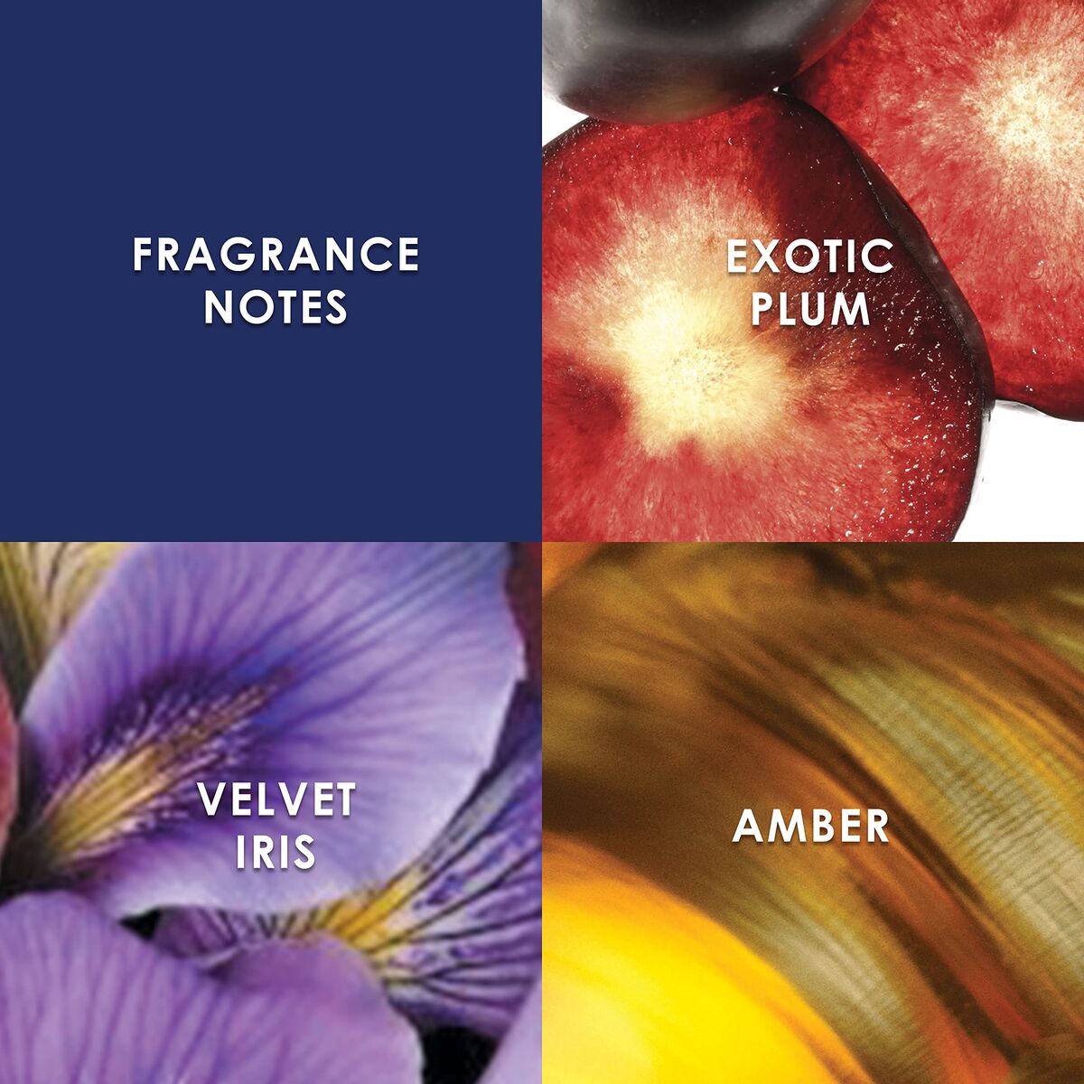 V4HCF42540B07E45912ADDA90099B24DE6AR7526078P4