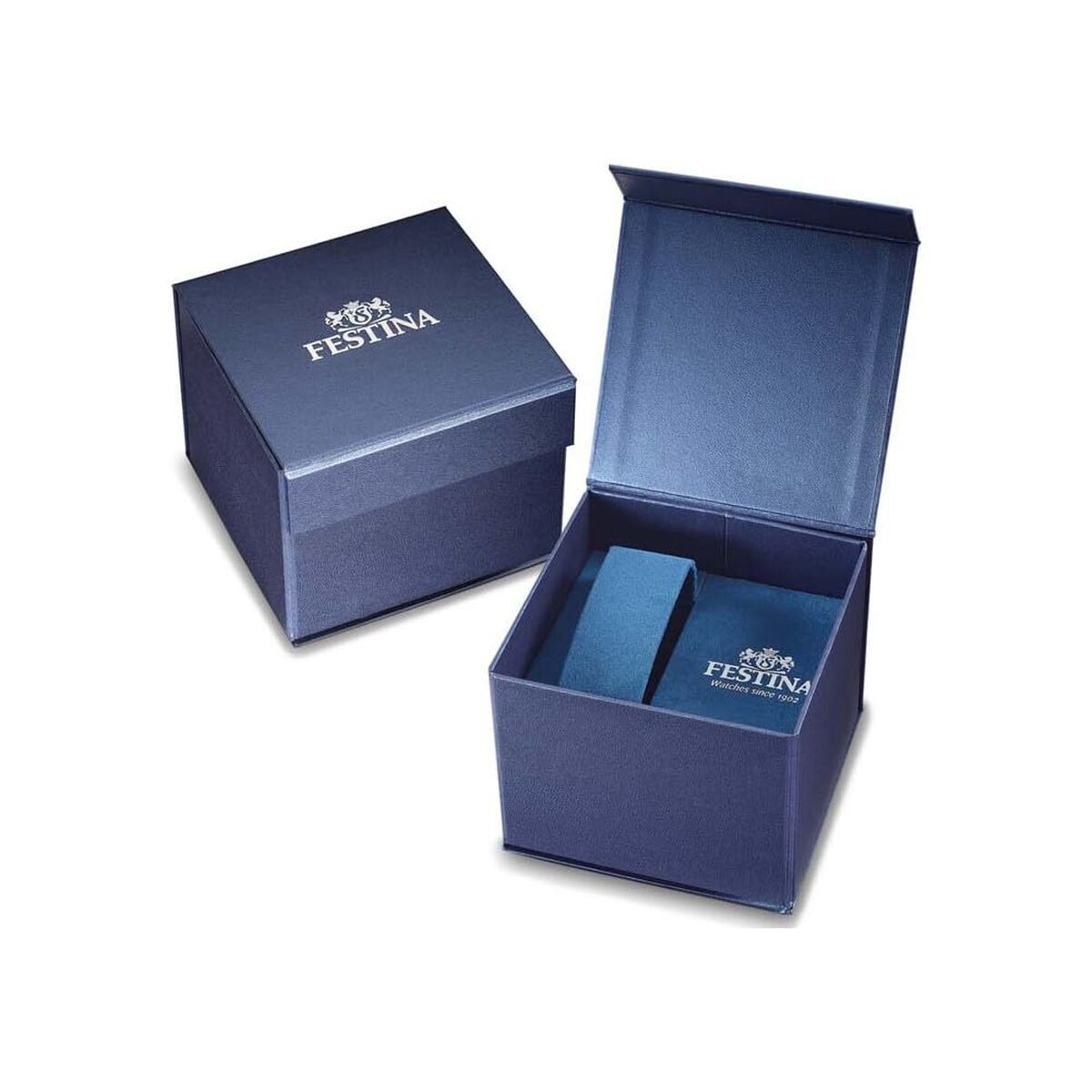 Festina Men's Watch Festina F20743/1 Silver