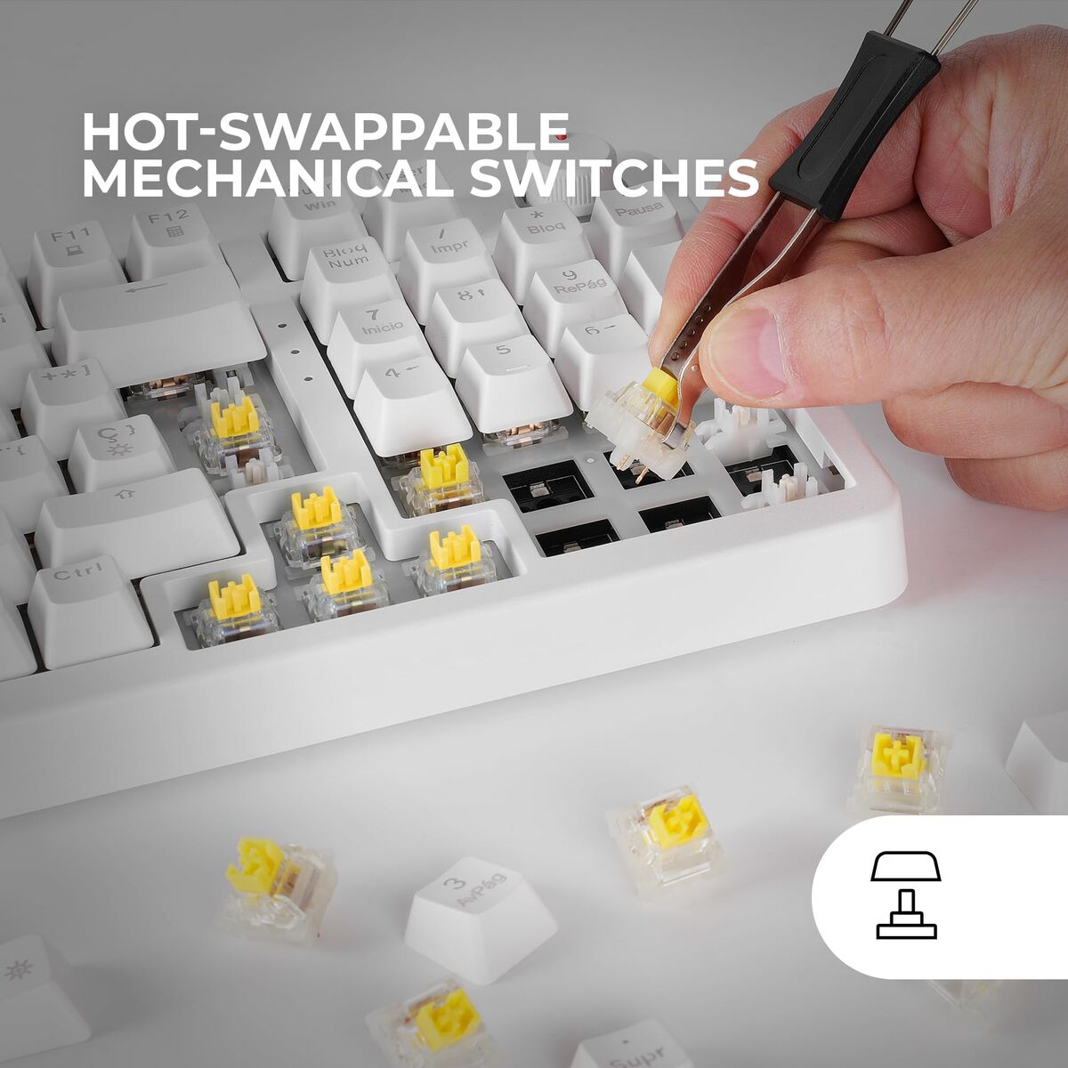 V2HA00FA249D96999C8B1204E91BE134BAFR7758586P10