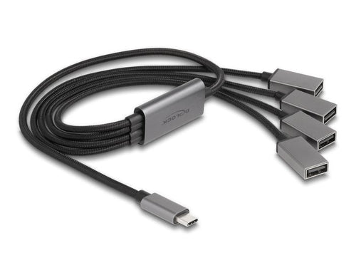 Delock 64210 Hub 4-PORT USB 2.0 USB Cable -c 60CM — image 1