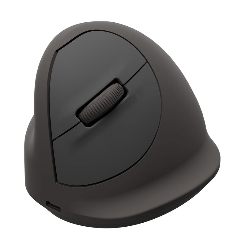 Fellowes Vertikale Mouse Breyta Plus + Large Left