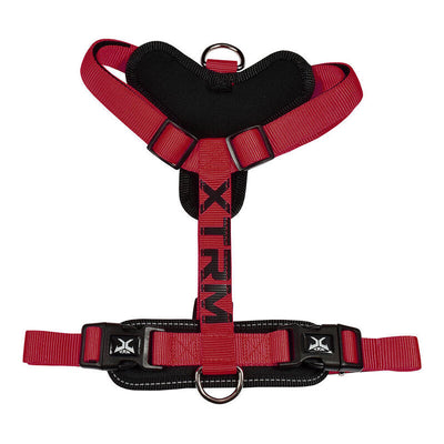 Arnés X-trm Cronos Neon Flash Red/Black T-m 20MM X 46-75CM — image 1