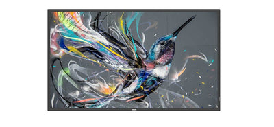 Philips Monitor 50 50BDL3511Q/00 Q-line 50 Q-line, 18/7, 4K — image 1