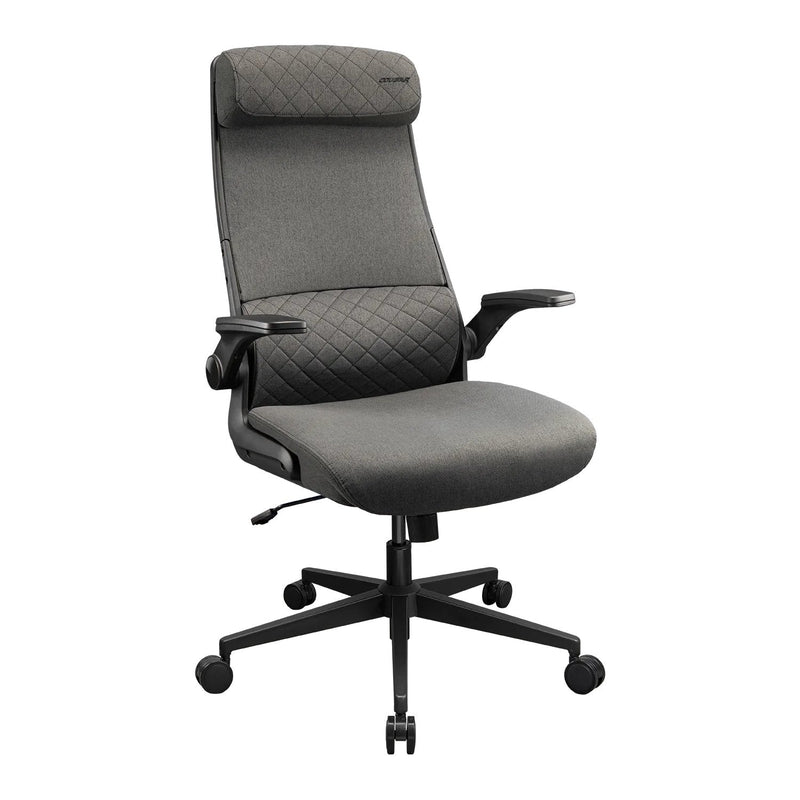 Cougar Chair Gaming Gaming Office-muhl Mryder, Moff, Grey