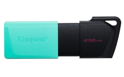 Kingston USB Flash Drive 256GB Datatraveler Exodia M USB 3.2 Dtxm/256GB — image 1