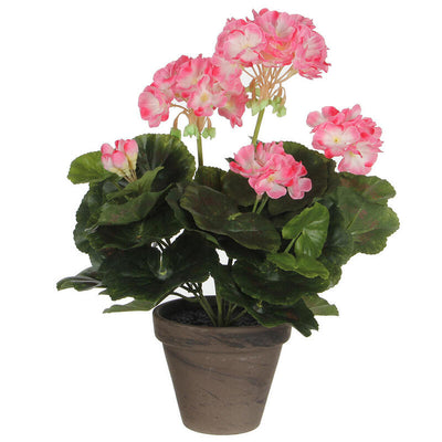 Geranio Colour White Rosado Pvc With Plant Pot — image 1