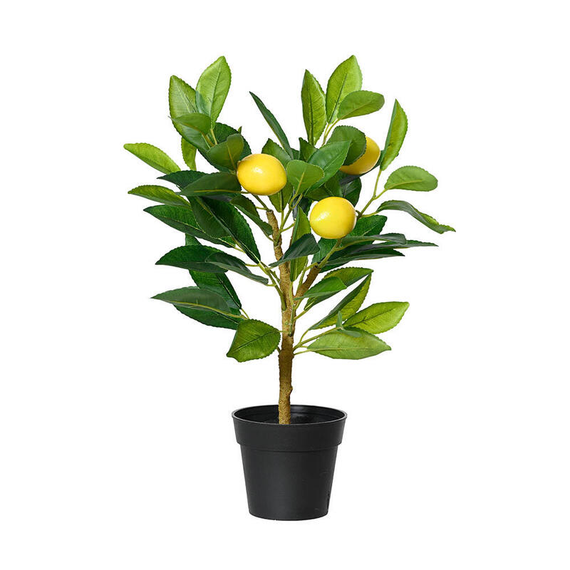 Plant Pot Limonero 17 X 24 X 43CM