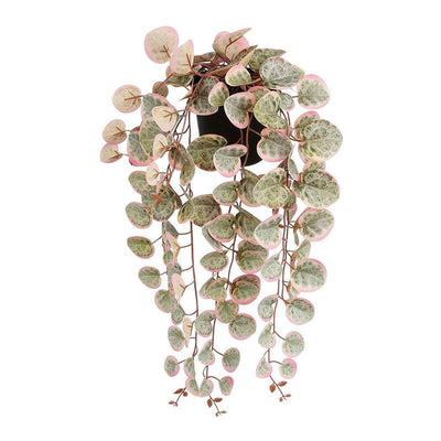 Planta Artificial Colgante Ceropegia Woodii Collar Corazones Pink With Plant Pot — image 1