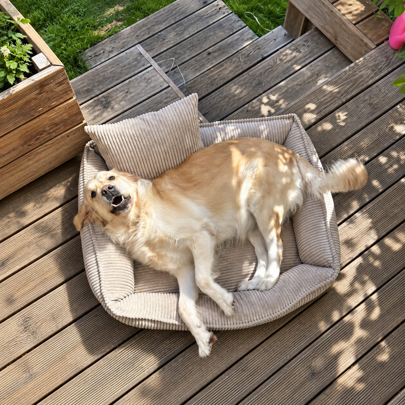 Nino Corduroy Dog Basket Bed with Removable Cover – Hazelnut Taupe, XS
